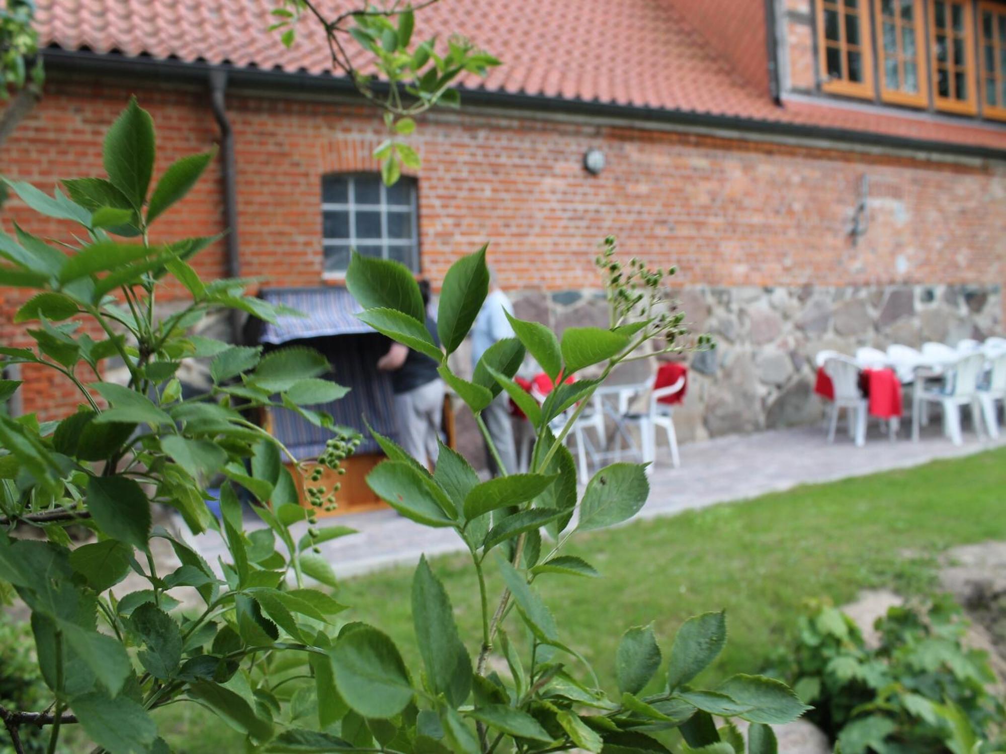 Mansion In Gressow With Terrace Garden Bbq Pond Bicycles 빌라 외부 사진